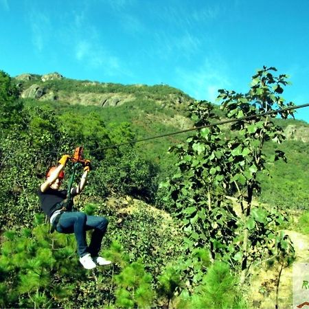 Rocavenados Mascota Ngoại thất bức ảnh