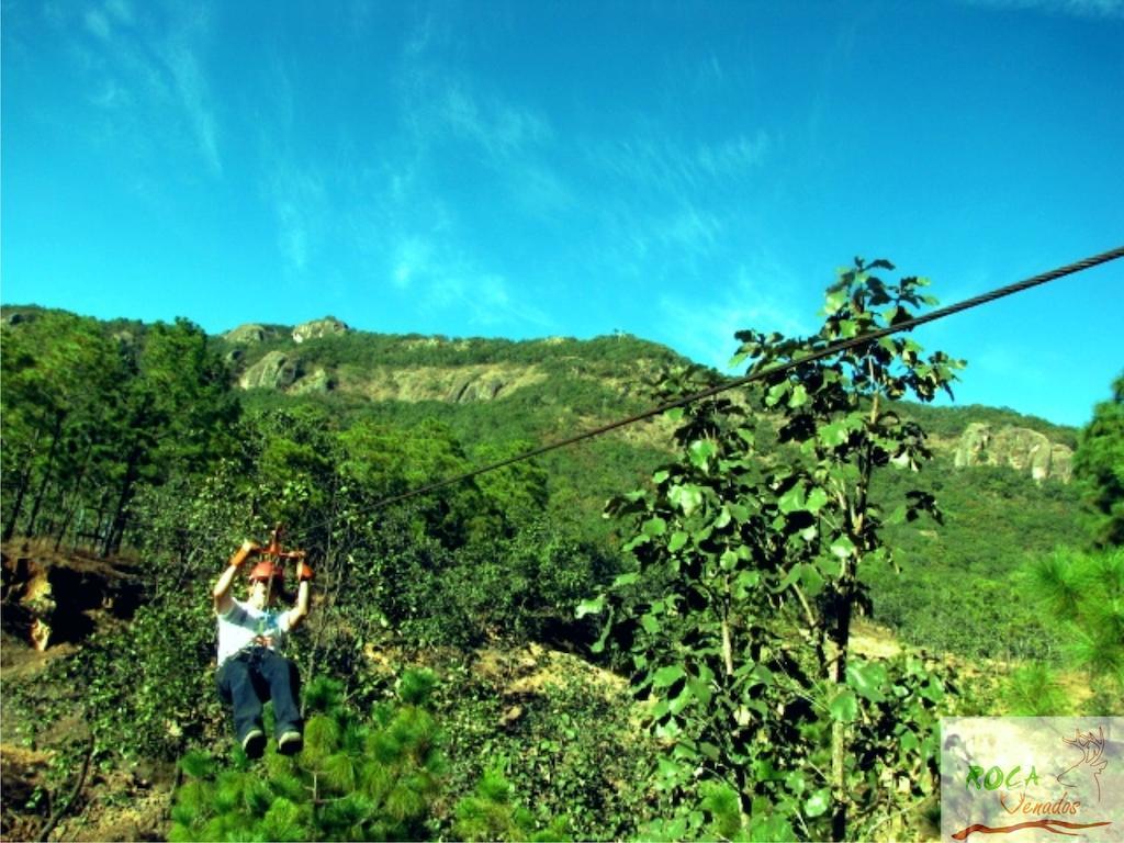 Rocavenados Mascota Ngoại thất bức ảnh