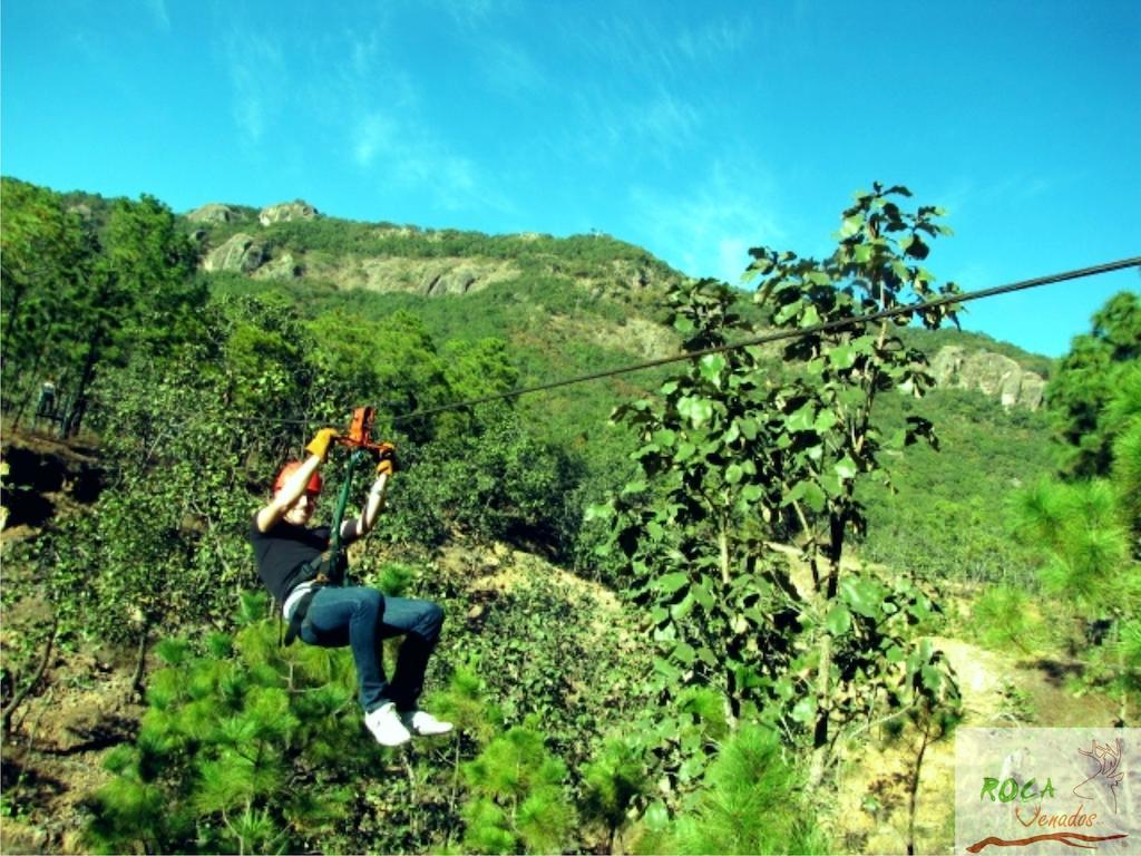 Rocavenados Mascota Ngoại thất bức ảnh