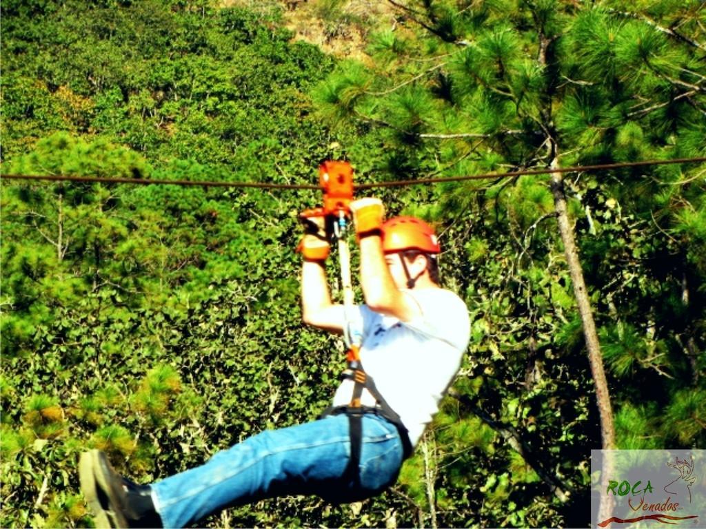 Rocavenados Mascota Ngoại thất bức ảnh