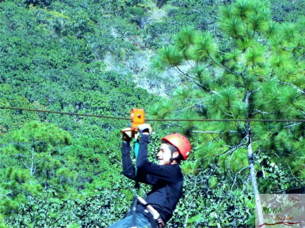 Rocavenados Mascota Ngoại thất bức ảnh