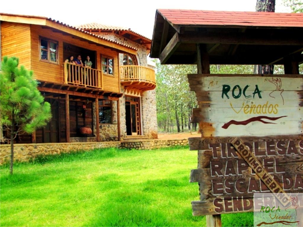 Rocavenados Mascota Ngoại thất bức ảnh
